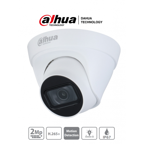 2 Megapiksel WDR starlight IR Dome IP Kamera - Sesli 2,8mm Sabit