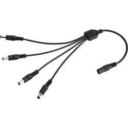 ROSE 1 DİŞİ 4 ERKEK DC ÇOGALTICI